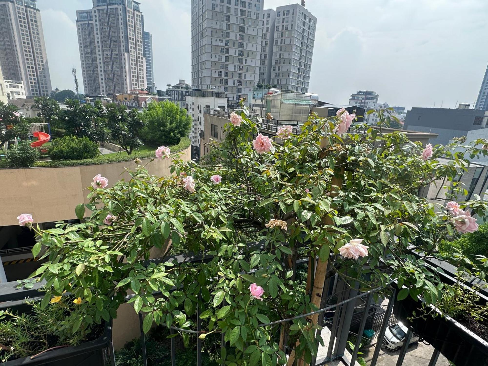 Homey Apartment Thành Pho Ho Chí Minh Esterno foto